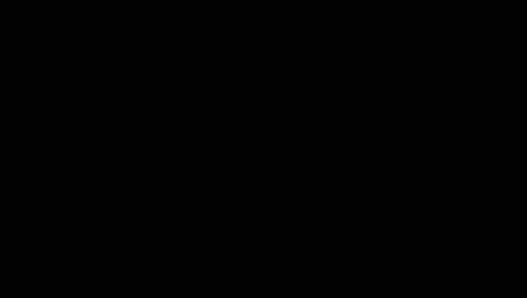 Штакетник М-образный А фигурный 0,5 Velur20 RAL 9005 черный
